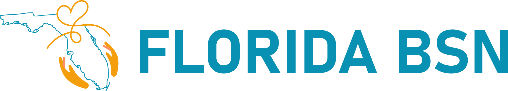 Florida BSN Programs