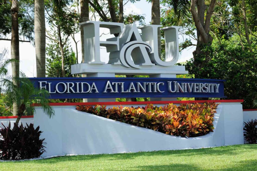Florida Atlantic University BSN Programs Florida Atlantic University BSN Programs