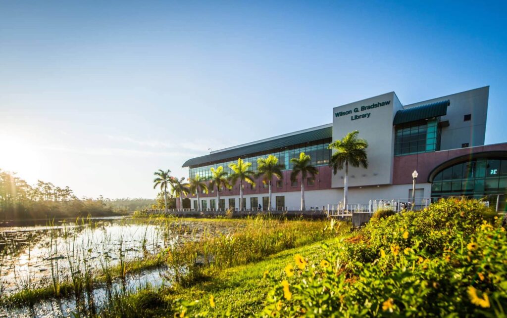 Florida Gulf Coast University BSN