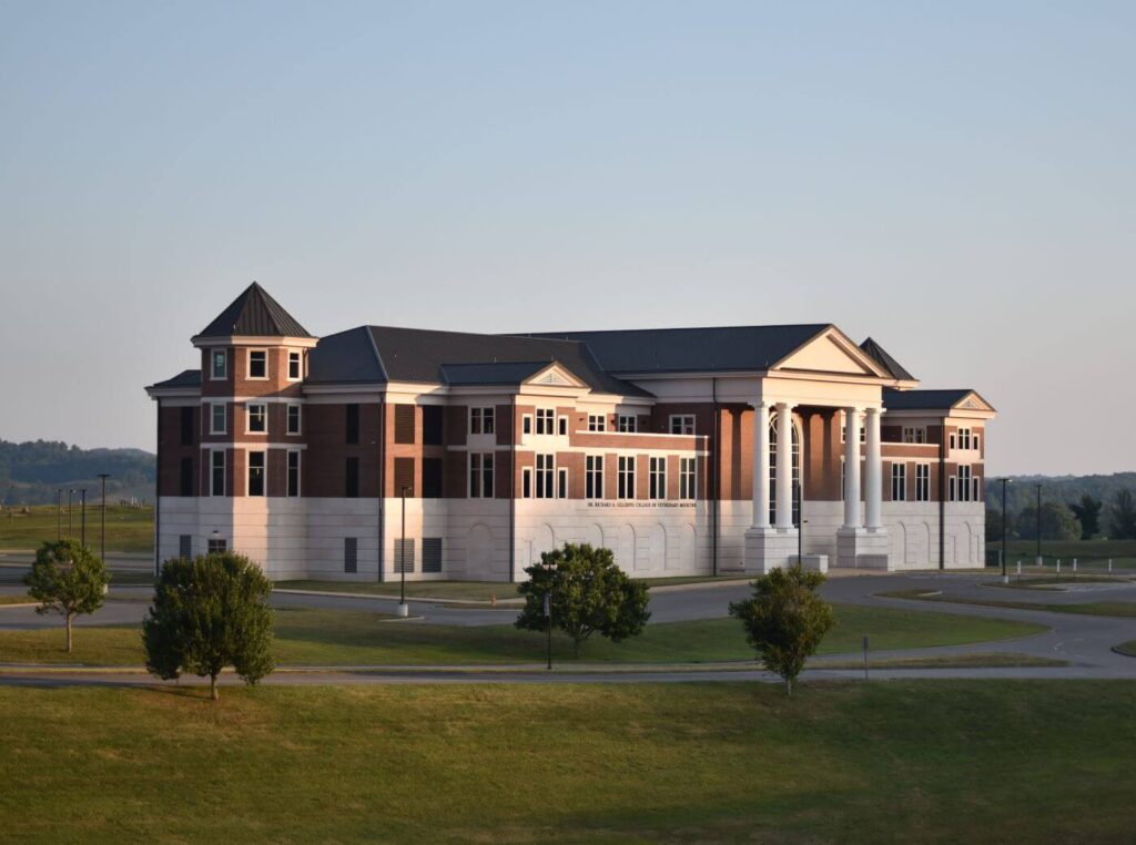 Lincoln Memorial University BSN Programs Lincoln Memorial University BSN Programs