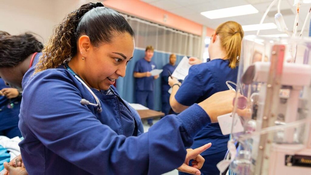 St Petersburg College of Nursing BSN Programs St Petersburg College of Nursing BSN Programs