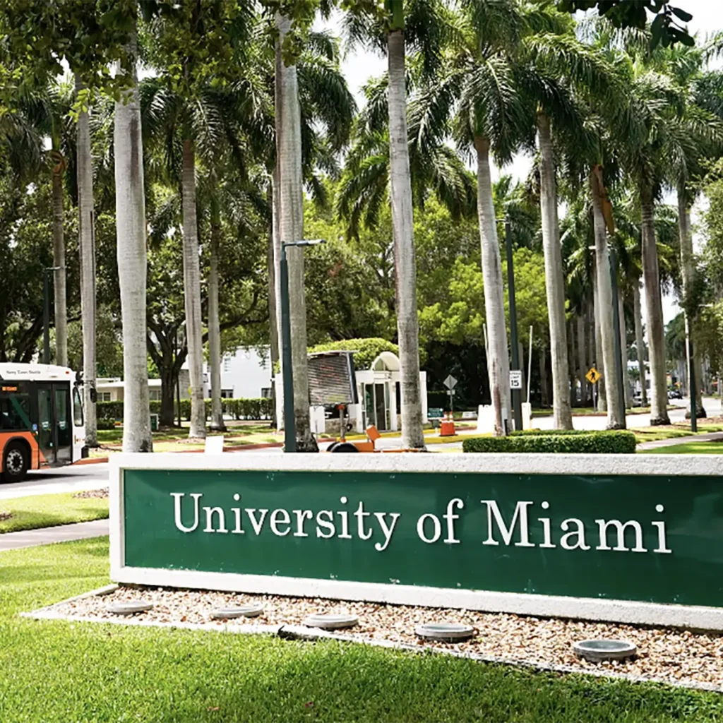 University of Miami BSN Programs University of Miami BSN Programs