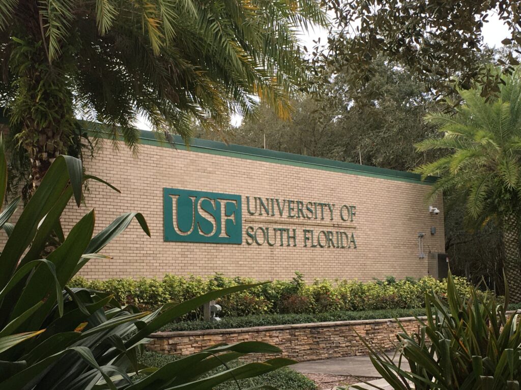 University of South Florida BSN Programs
